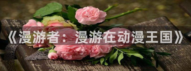 回术者樱花动漫：《漫游者：漫游在动漫王国》