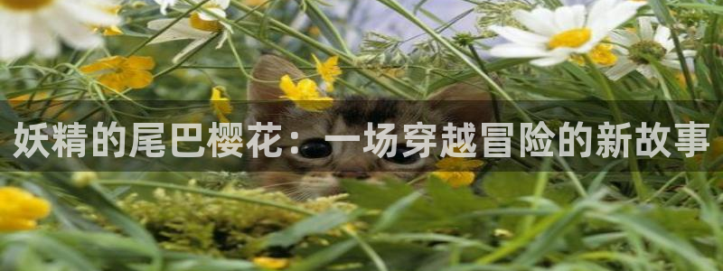 樱花动漫手机版：妖精的尾巴樱花：一场穿越冒险的新故事